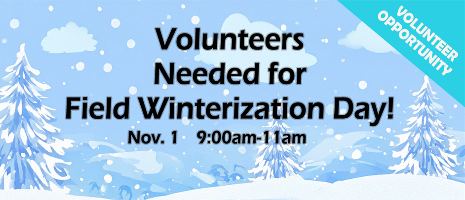 Lynndale Winterization